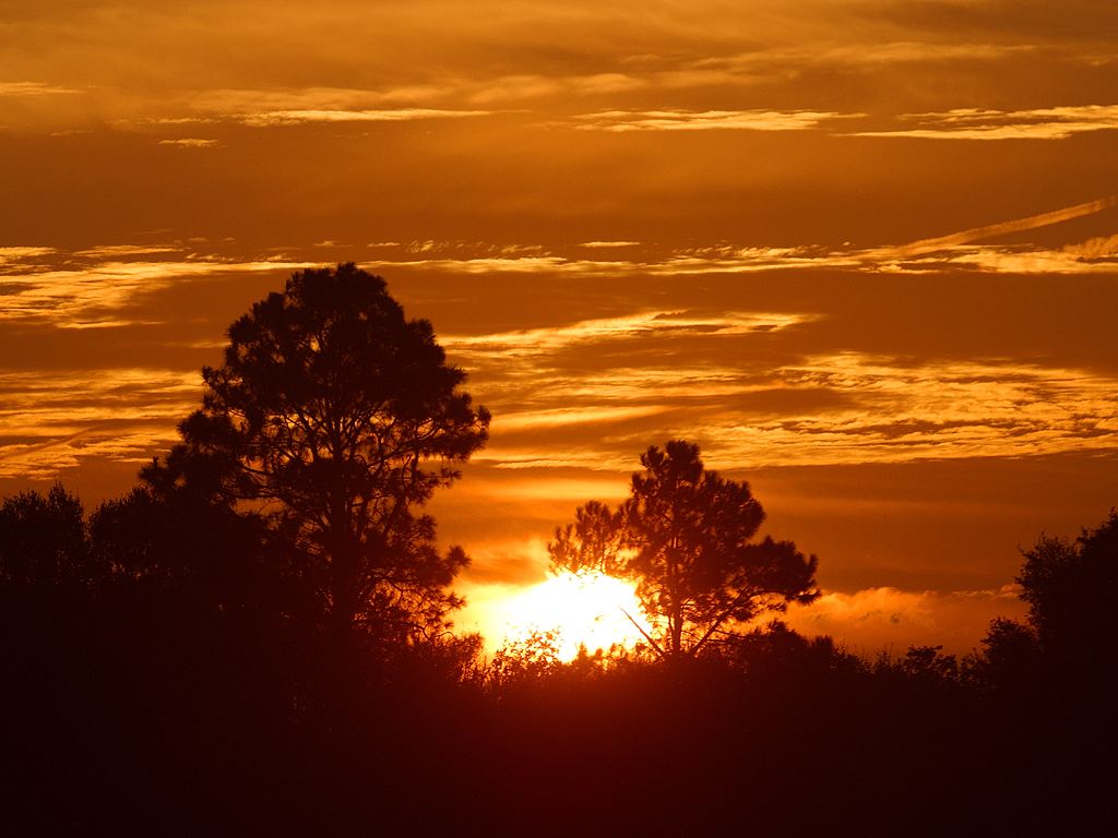 /style/source/Sunrise.jpg?size=150x